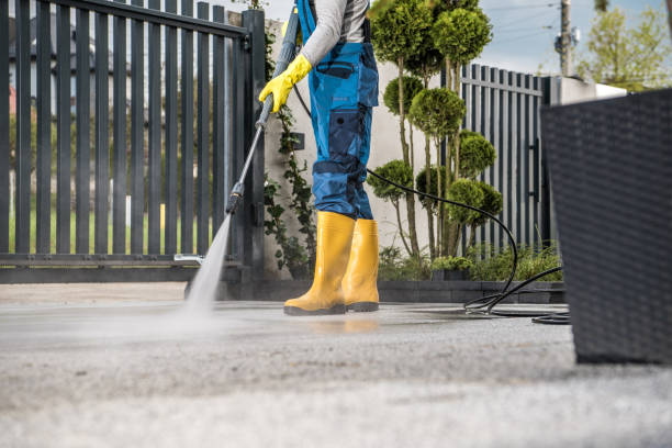 Best Gutter Cleaning and Brightening in Blanco, TX